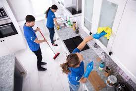Professionele Schoonmaakdiensten voor een Fris en Schoon Huis