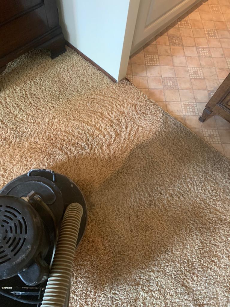 vloerkleed laten reinigen